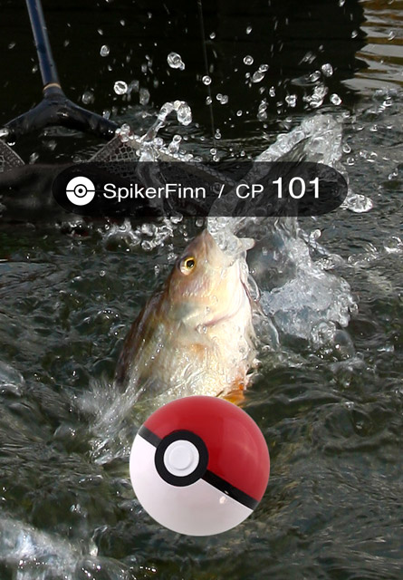 fishemon-spikerfinn